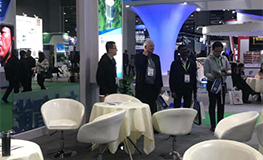 �Ƿ�����(�й���)-�ٷ���վ